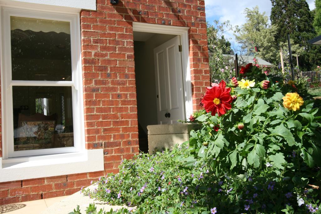 Annies Garden Cottage Гобарт Екстер'єр фото